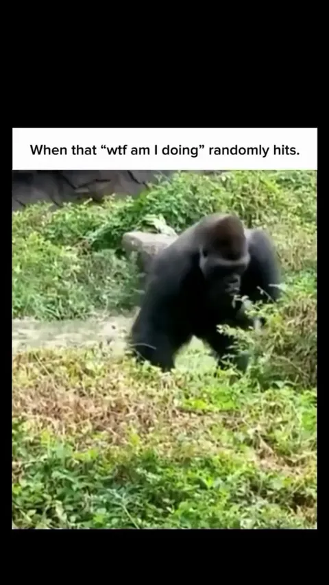 I hit this at least 5 times a day😔