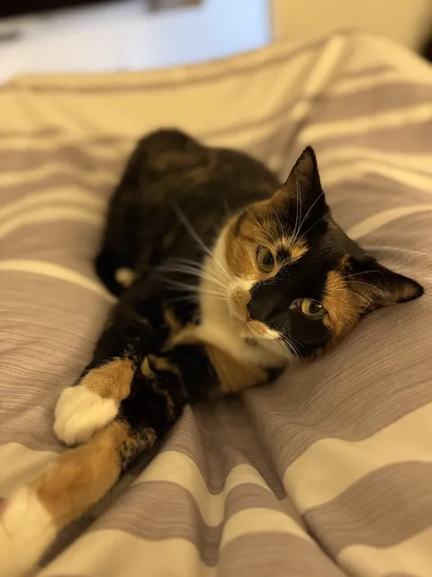 I don’t want to get up!!