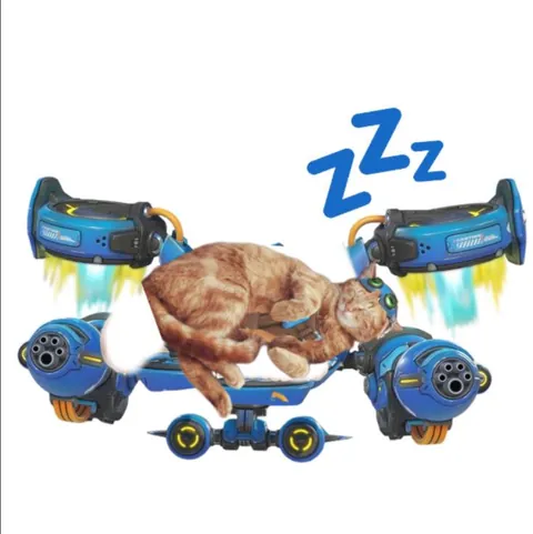 I really wish Jetpack Cat's sleeping animation from Ana's sleeping dart actually made her sleep instead