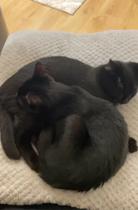 Update from 19 days ago; I got my two babies finally!!!! 