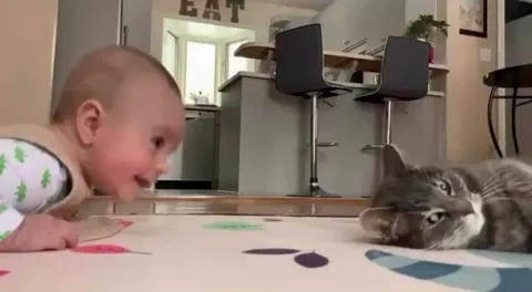 The beginning of a beautiful friendship