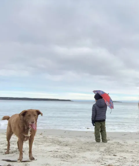 My Bassi bear tuned 10! My best boy, the best “big” brother and my best friend:)