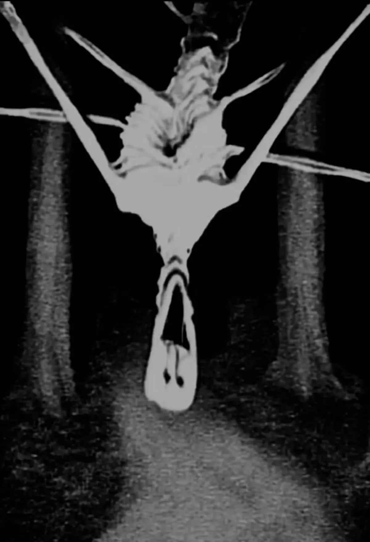 Anyone have pictures like these?