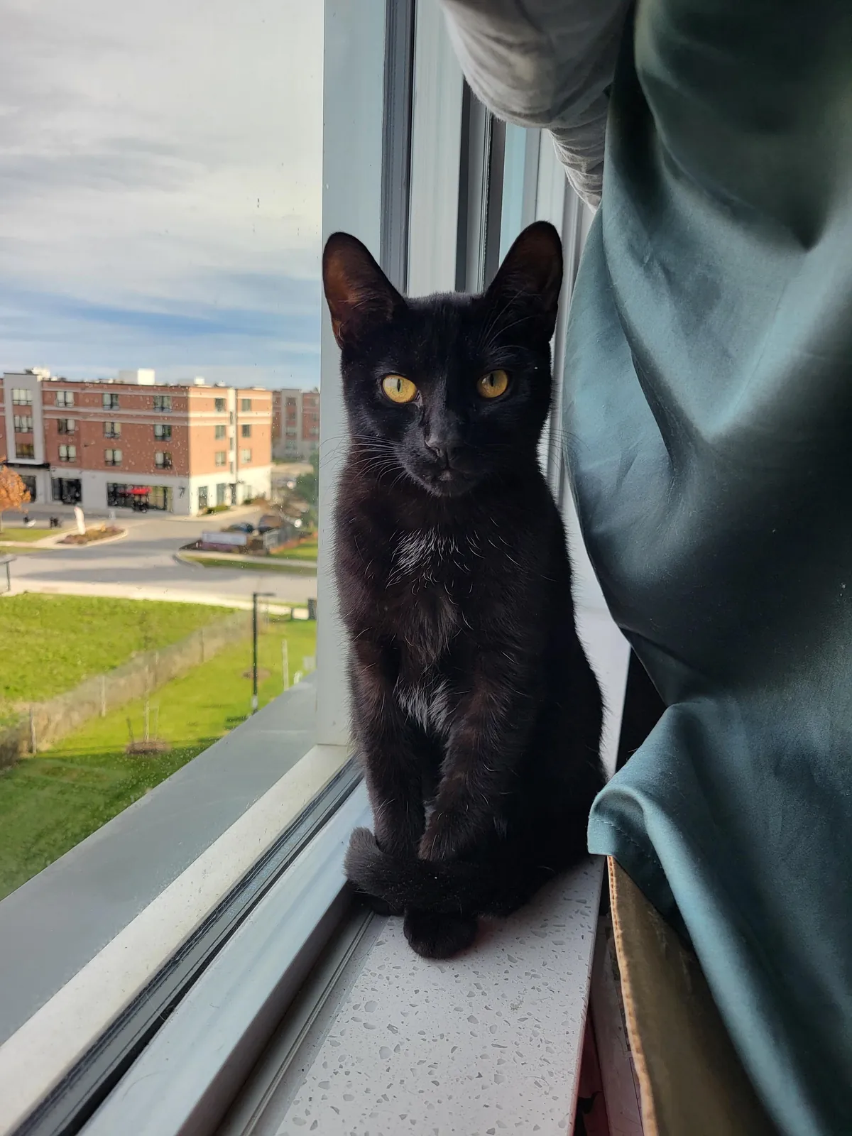 I got pumpkin a week ago, she's settling in well