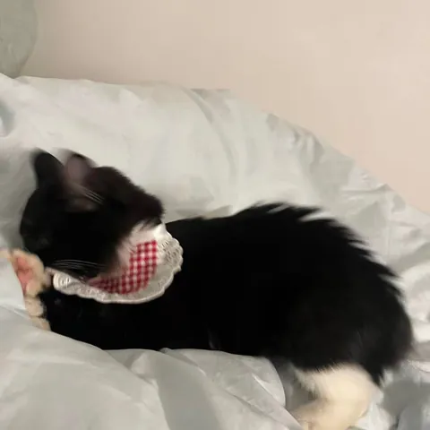 He’s only been in my life for 2 weeks but I already can’t imagine a day without him ❤️