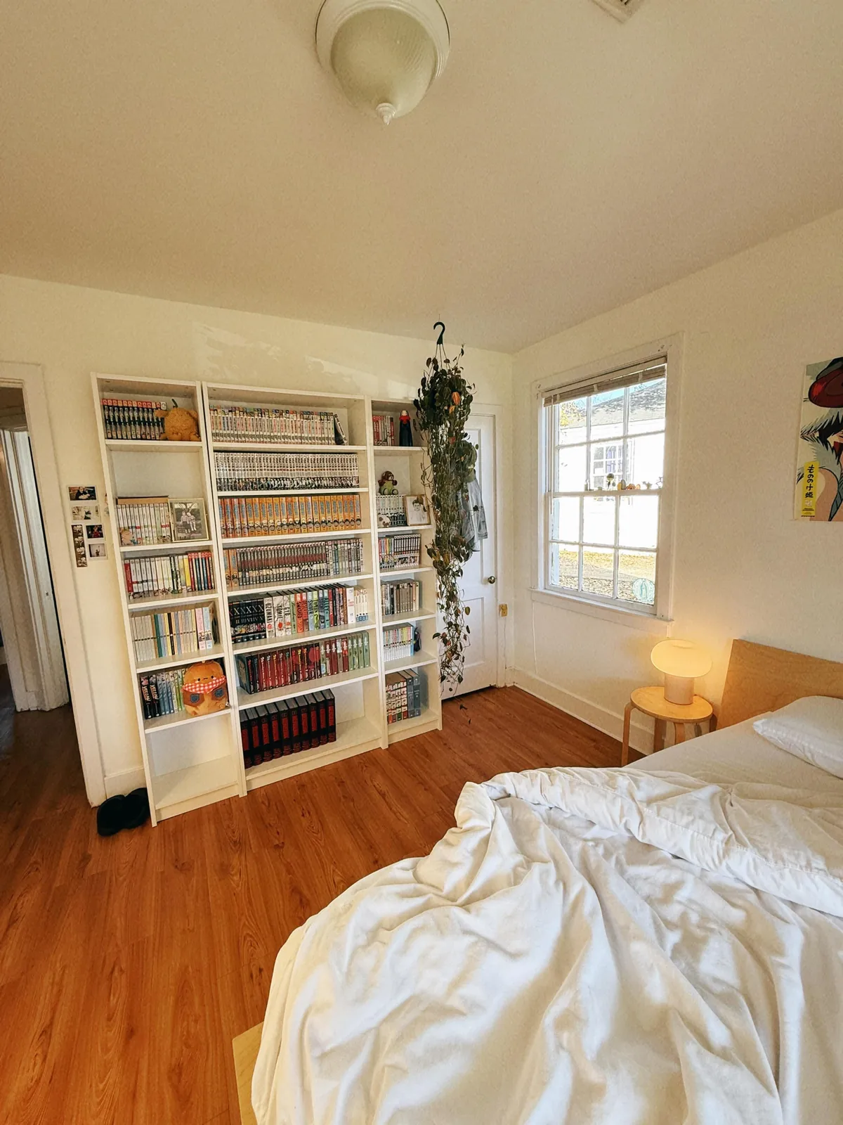 My cozy plant-filled apartment in Alabama (I’ve been told!)