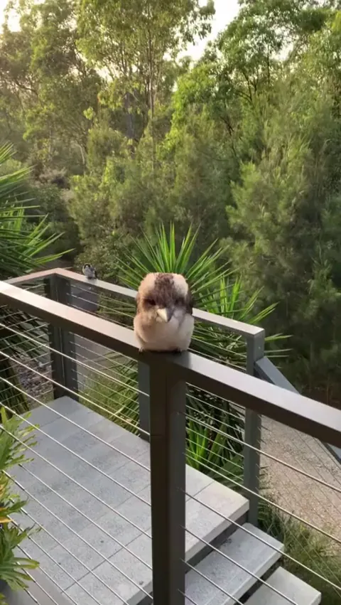 Charming little girl.