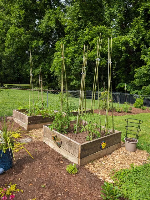 Finally after Renting forever, a House of my Own  &amp;  Proper Home Garden!