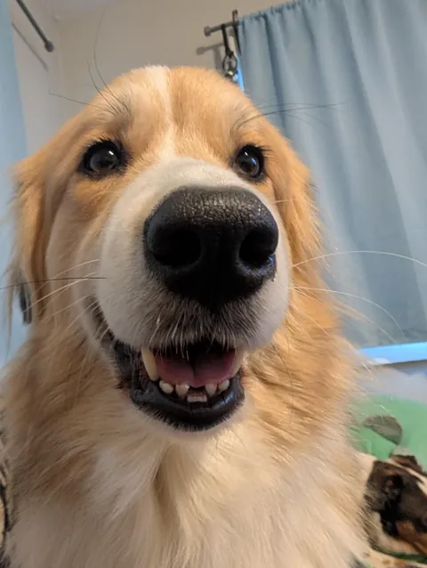 POV: You're about to receive some smooches