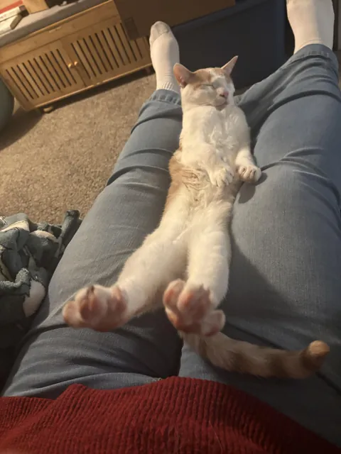 He is simply ridiculous.