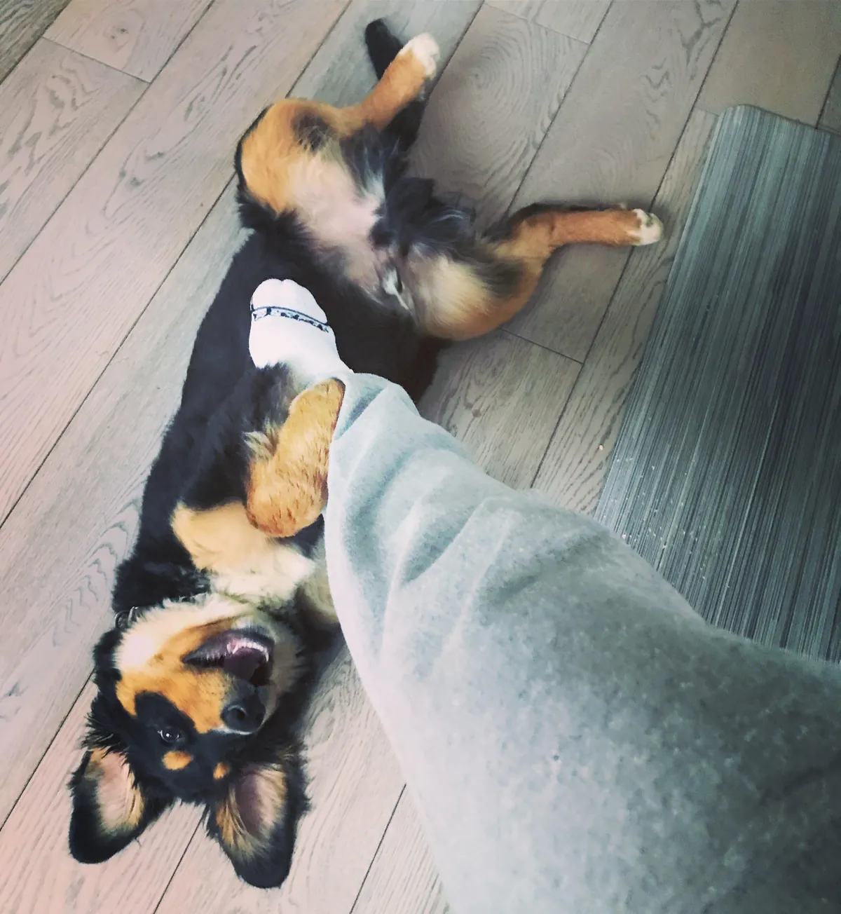 6 years later and we have a wise older brother in the making. ❤️🥰