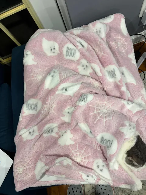 Do not disturb. I am booked and busy.😴