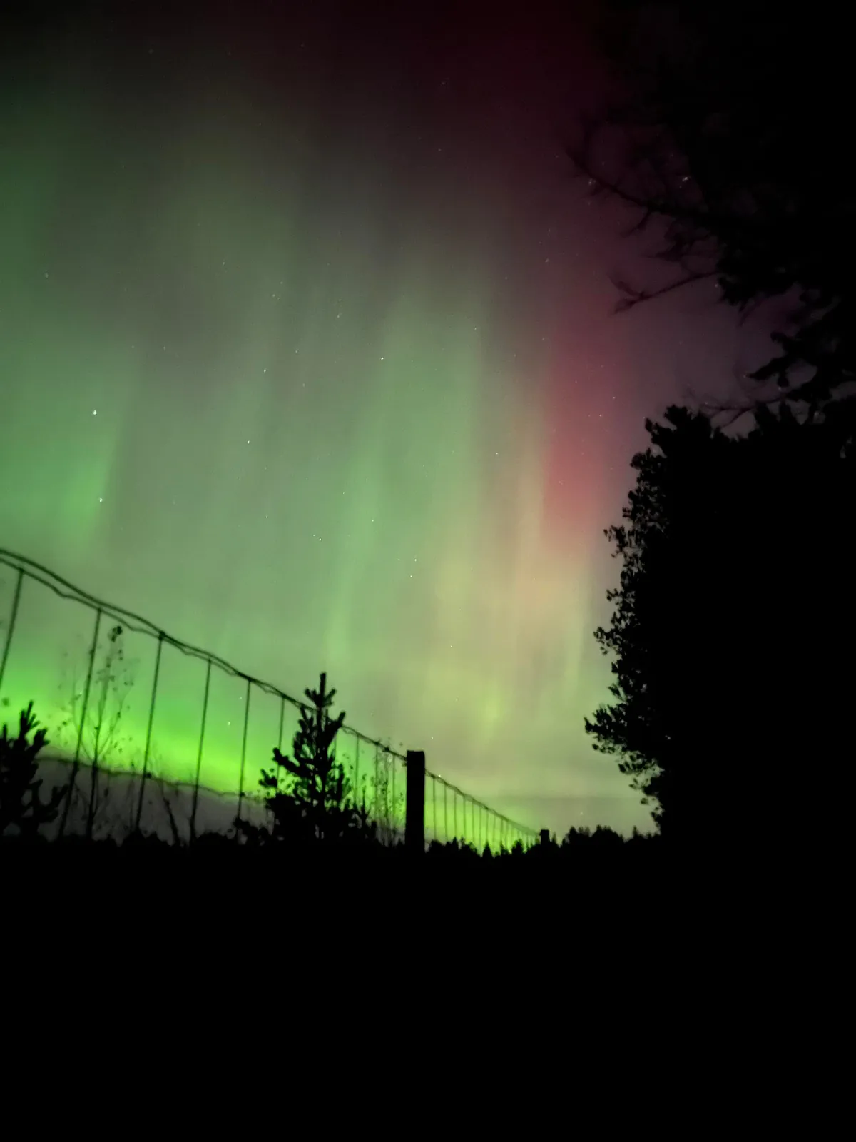 Beautiful Aurora last night!