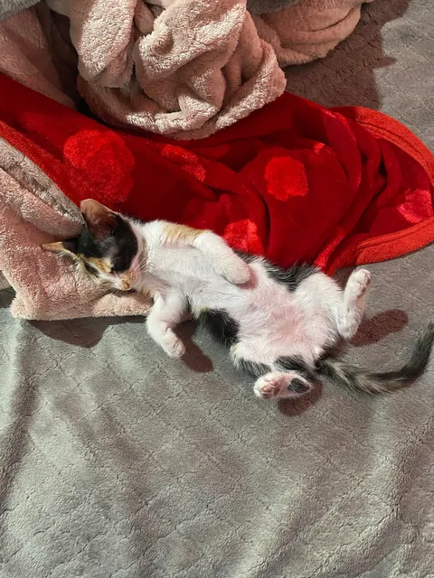 She saved me from committing suicide and gave me a reason to live.