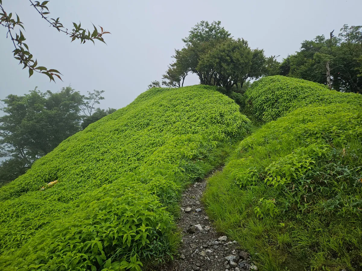 3 weeks Japan off the beaten track by folding bycicle and public transport