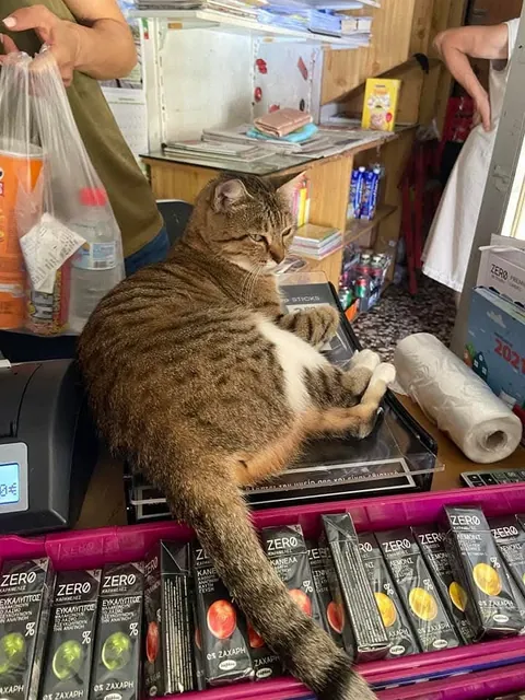 Greece: Convenience store owners