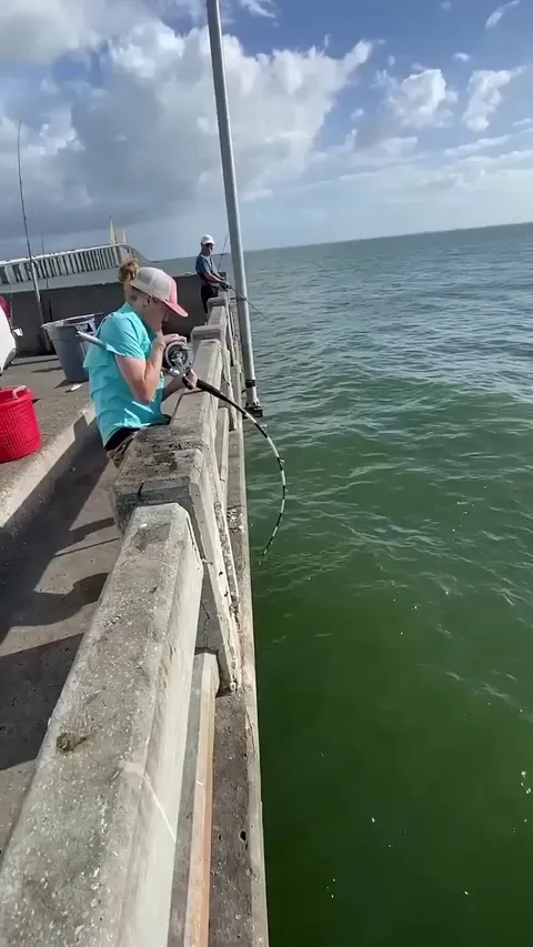 Catching a monster-size grouper fish from under the pier.