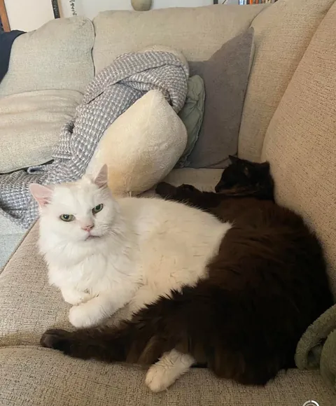 My Void with his Cloud 