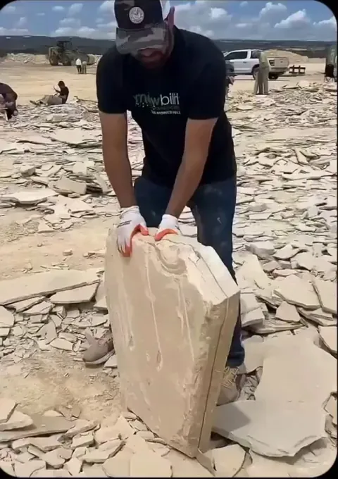 A perfectly preserved fish fossil revealed inside a limestone slab