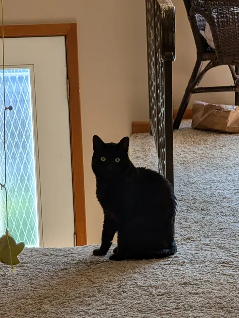 The Void stared into my soul