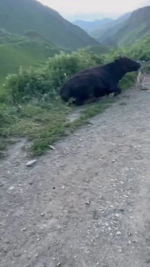 When you’re just minding your business and life decides to throw in a side quest.