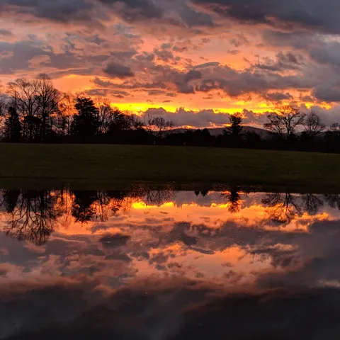 The last sunrise of 2018. Finally got lucky with lighting in a flooded field down the road from me. Foothills of East Tennessee. [4032x3024] [OC]