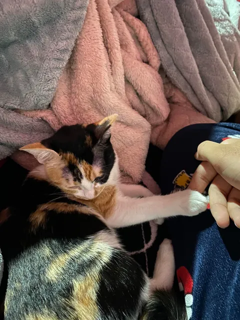 She saved me from committing suicide and gave me a reason to live.