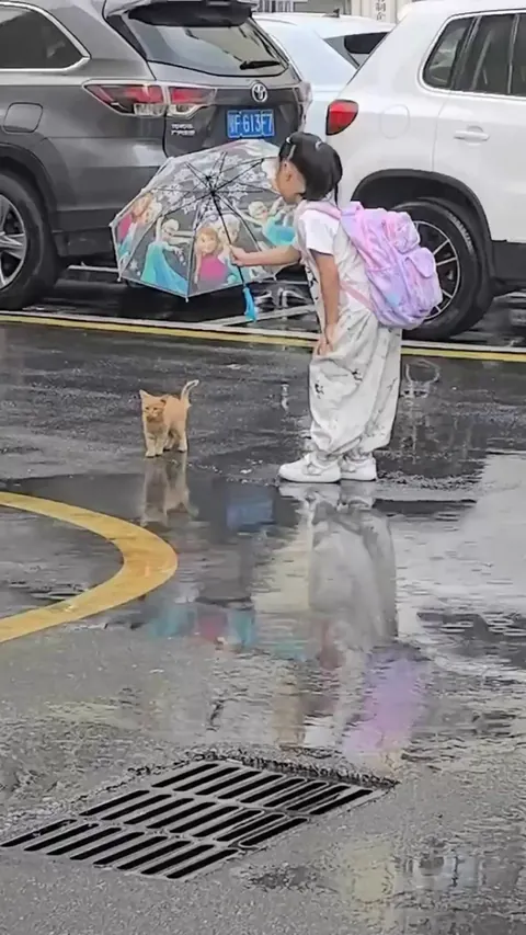 Young girl attempting to shelter cat from rain