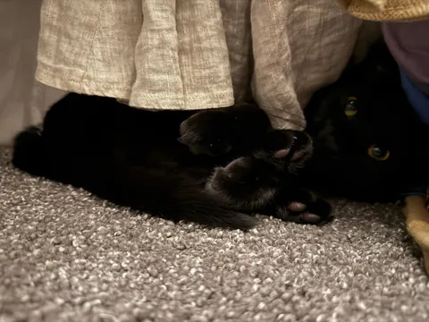 Soup Update: HE IS AN ADULT!!!