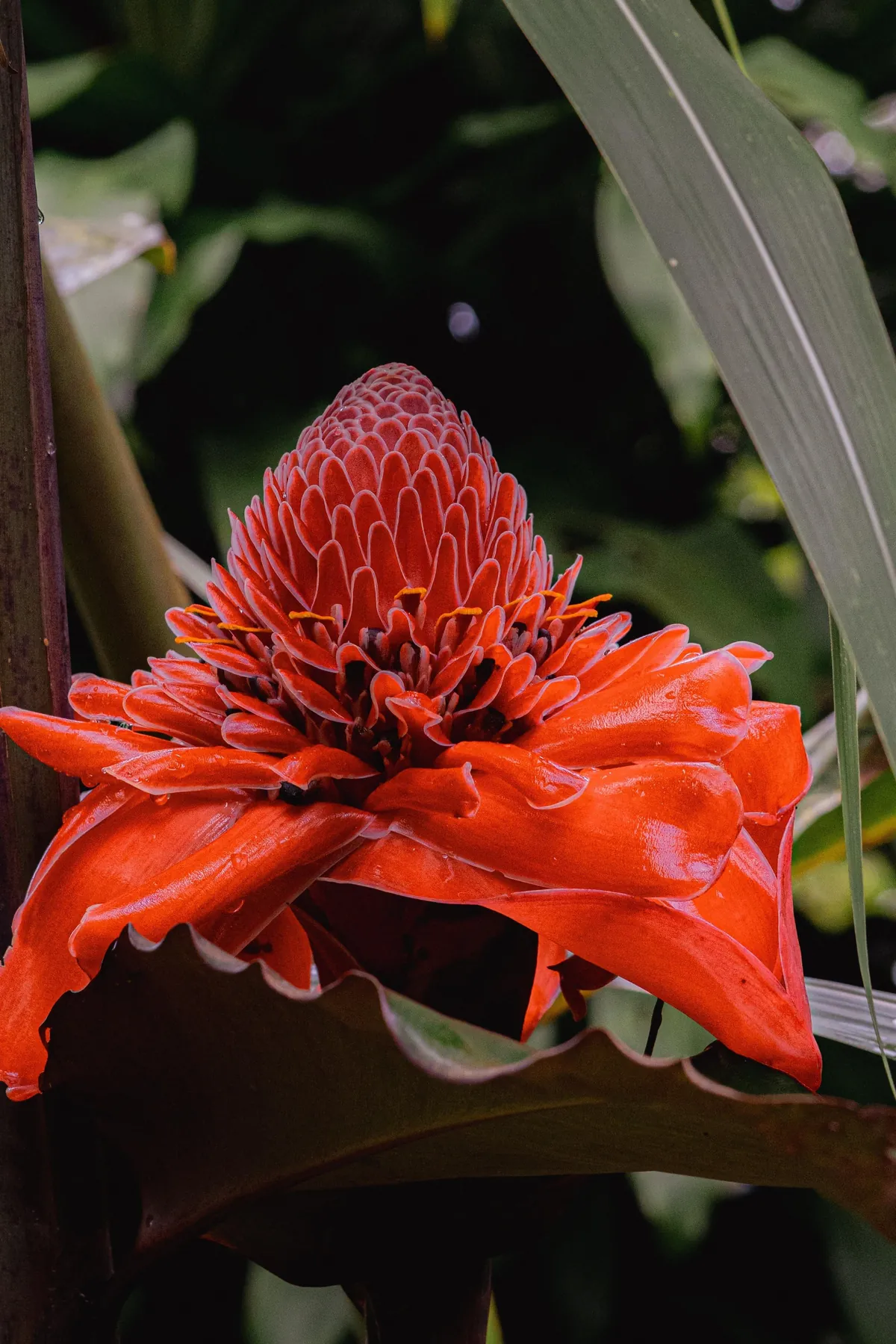 A little slice of pura Vida 📍 Costa Rica