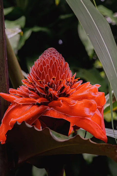 A little slice of pura Vida 📍 Costa Rica