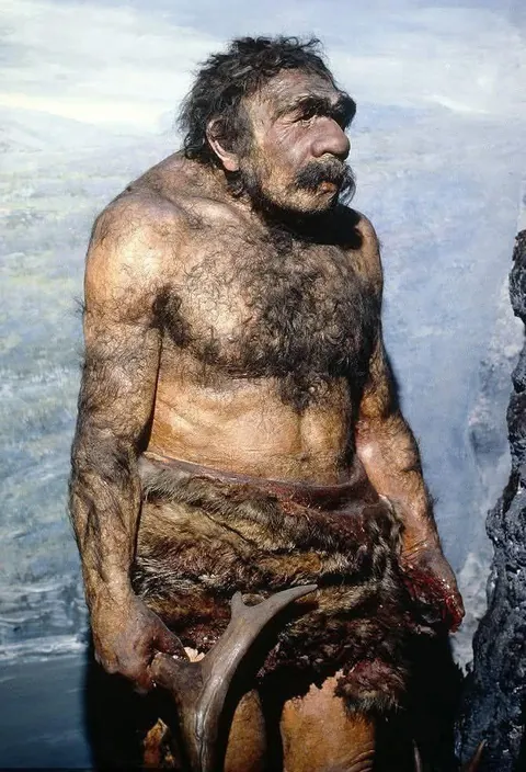 Reconstructed model of a Neanderthal man