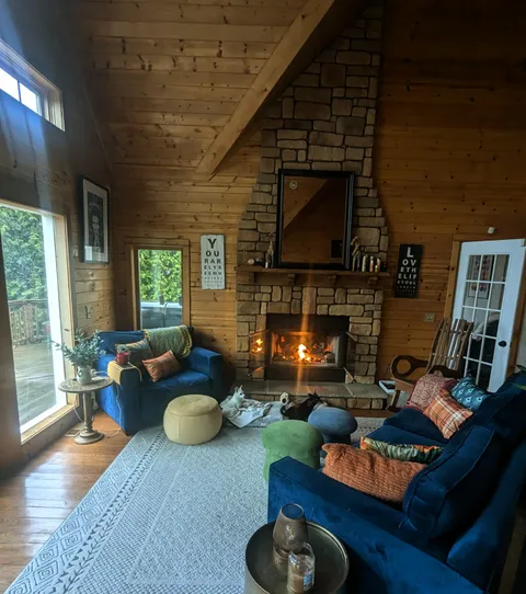 The perfect place to bird watch 