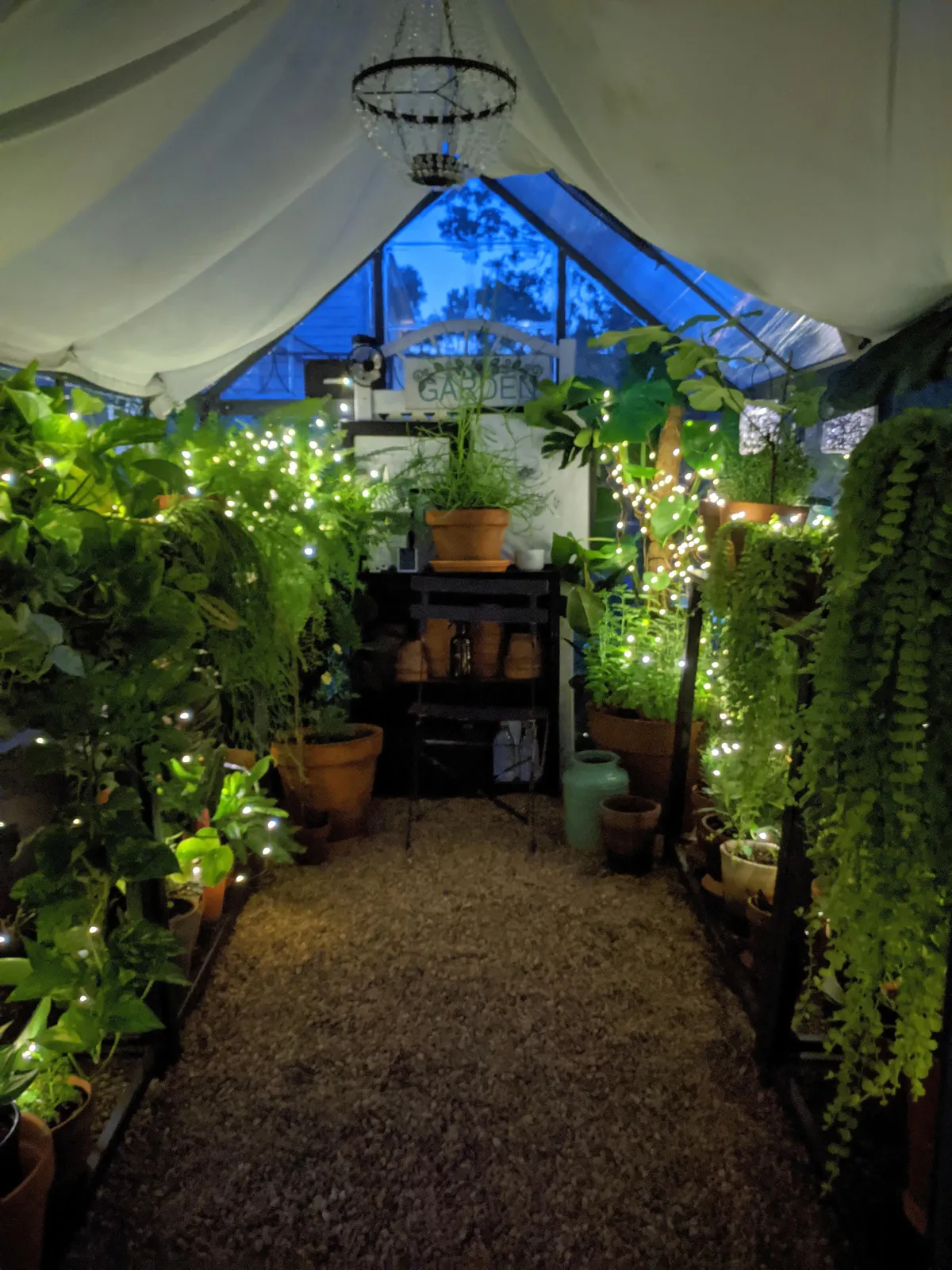 My greenhouse at night