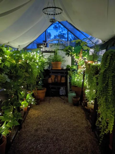 My greenhouse at night