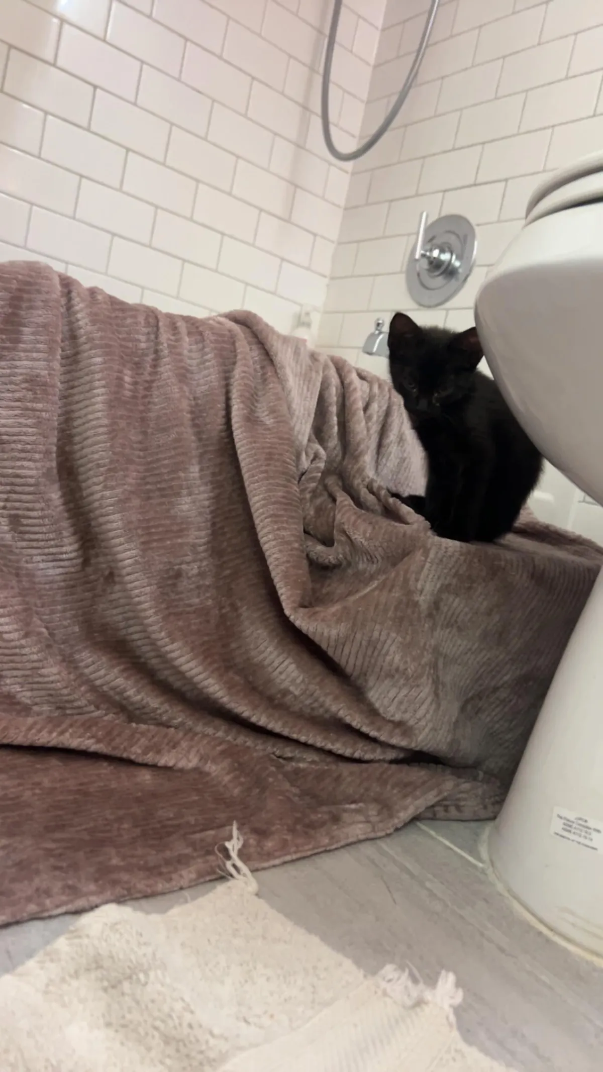 The CDS got me at a Jiffy Lube