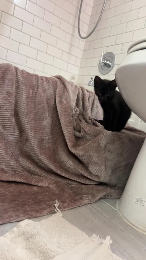 The CDS got me at a Jiffy Lube