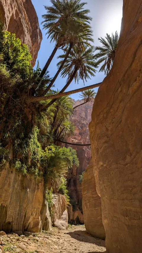 Jordan - 10 days in the jewel of the Middle East