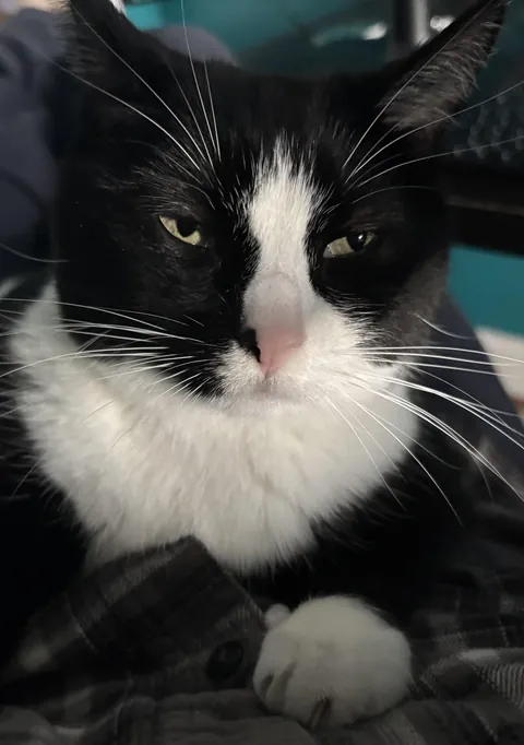 The face of someone who had to wait 30 minutes for breakfast