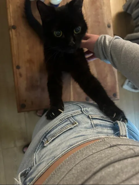 my darling boy of 18 years lost today. I love you