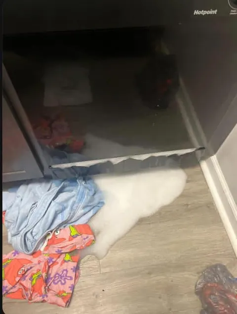 He put laundry detergent in the dishwasher then used my brand new clothes to clean up the foam