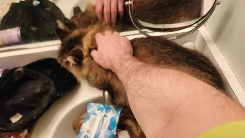 A year and a half, but my little boy is home.