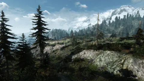 Witcher 3 still looking amazing.