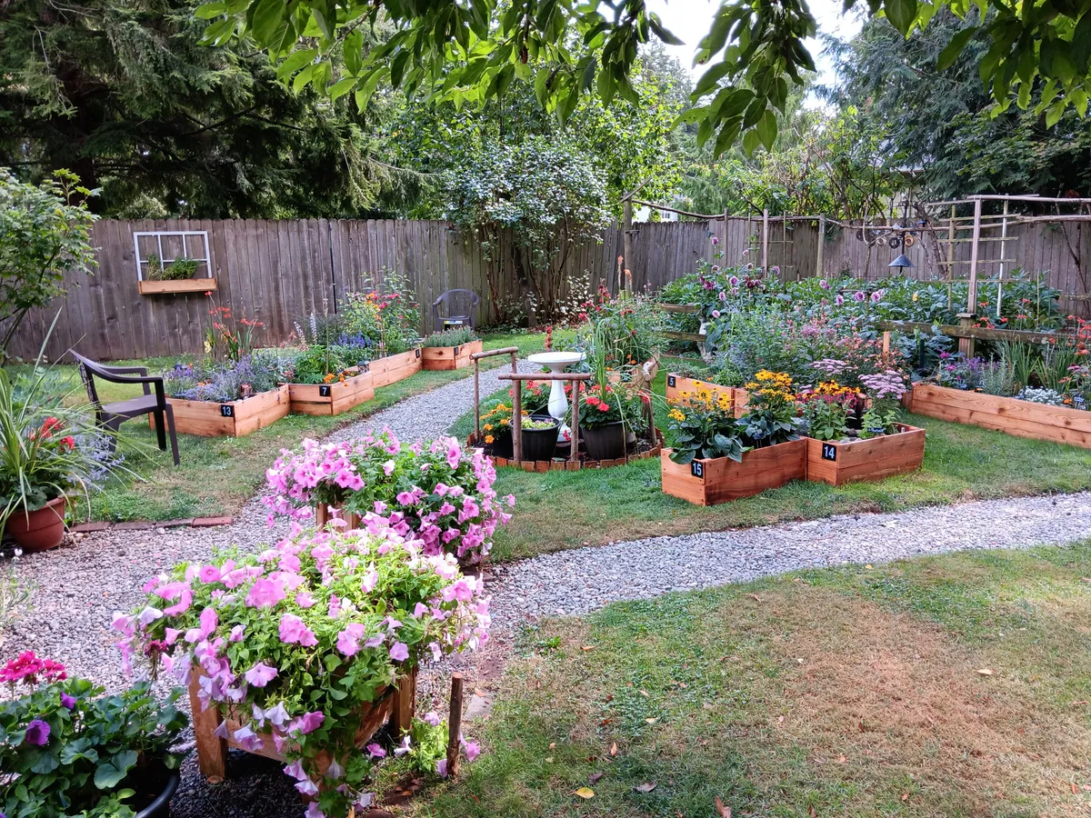 Some of our raised beds