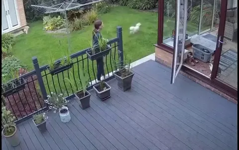 Mom said get inside!