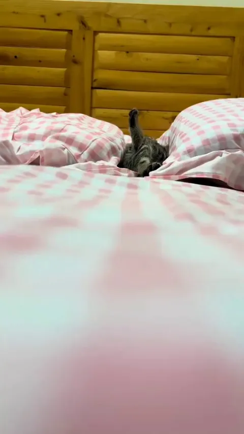 Sleeping like a true boss 😍❤️