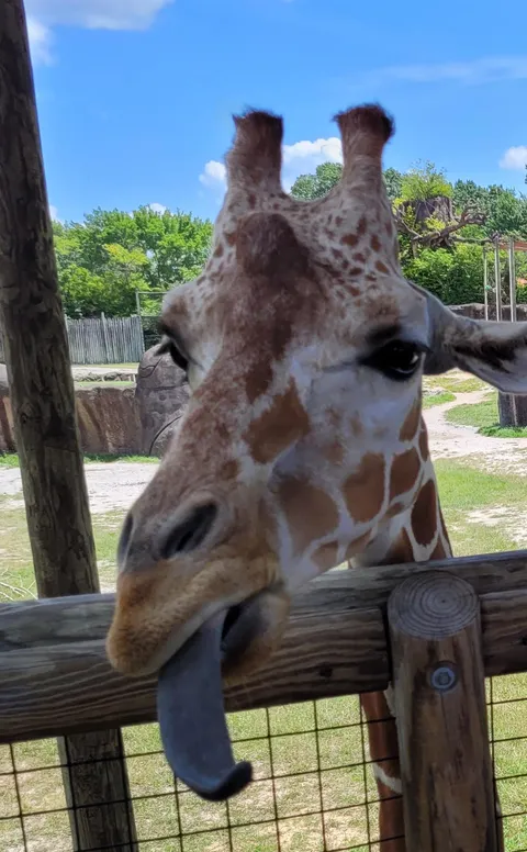 She is beauty; she is grace...