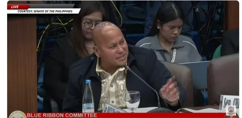 'Mahirap idigest Mr. Chair, masyadong technical'. Umuwi ka nalang Bato pang gulo ka lang naman lol