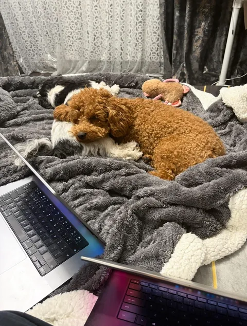 My smol loaf 1y ago &amp; now 🐻