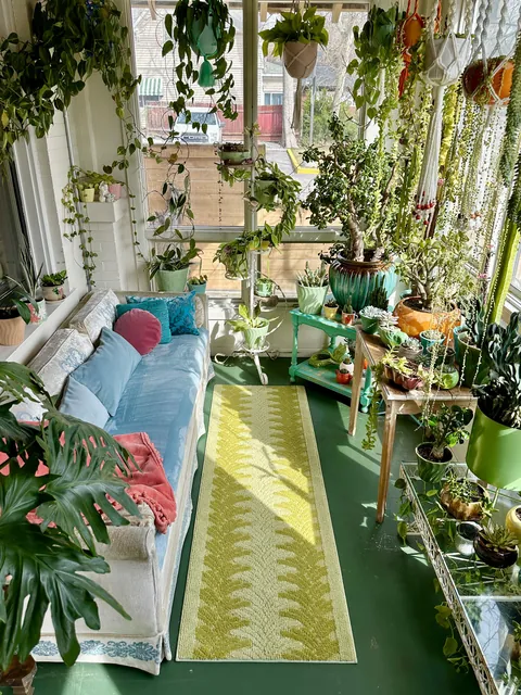 My sunroom is my sanctuary. 🪴✨